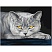 превью Картина по номерам на холсте ТРИ СОВЫ «Серый кот», 30×40, с акриловыми красками и кистями