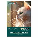 Бумага для пастели А4 в папке, 20 листов, 5 цветов, 180 г/м2, BRAUBERG ART CLASSIC