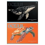 Альбом для рисования 32л., А4, на скрепке BG «Ocean»